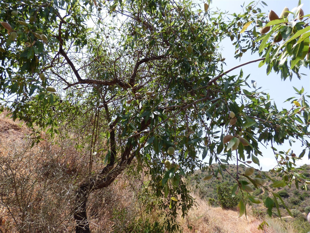 Huis te koop in Mijas Costa | 6 slaapkamers H5306743