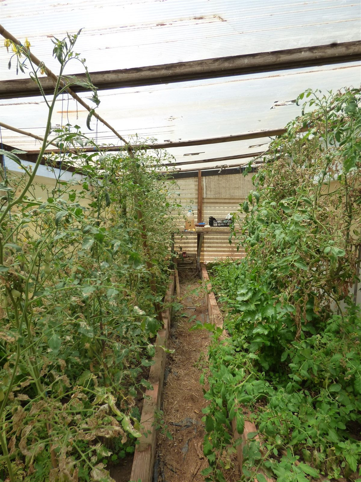 Huis te koop in Mijas Costa | 6 slaapkamers H5306743