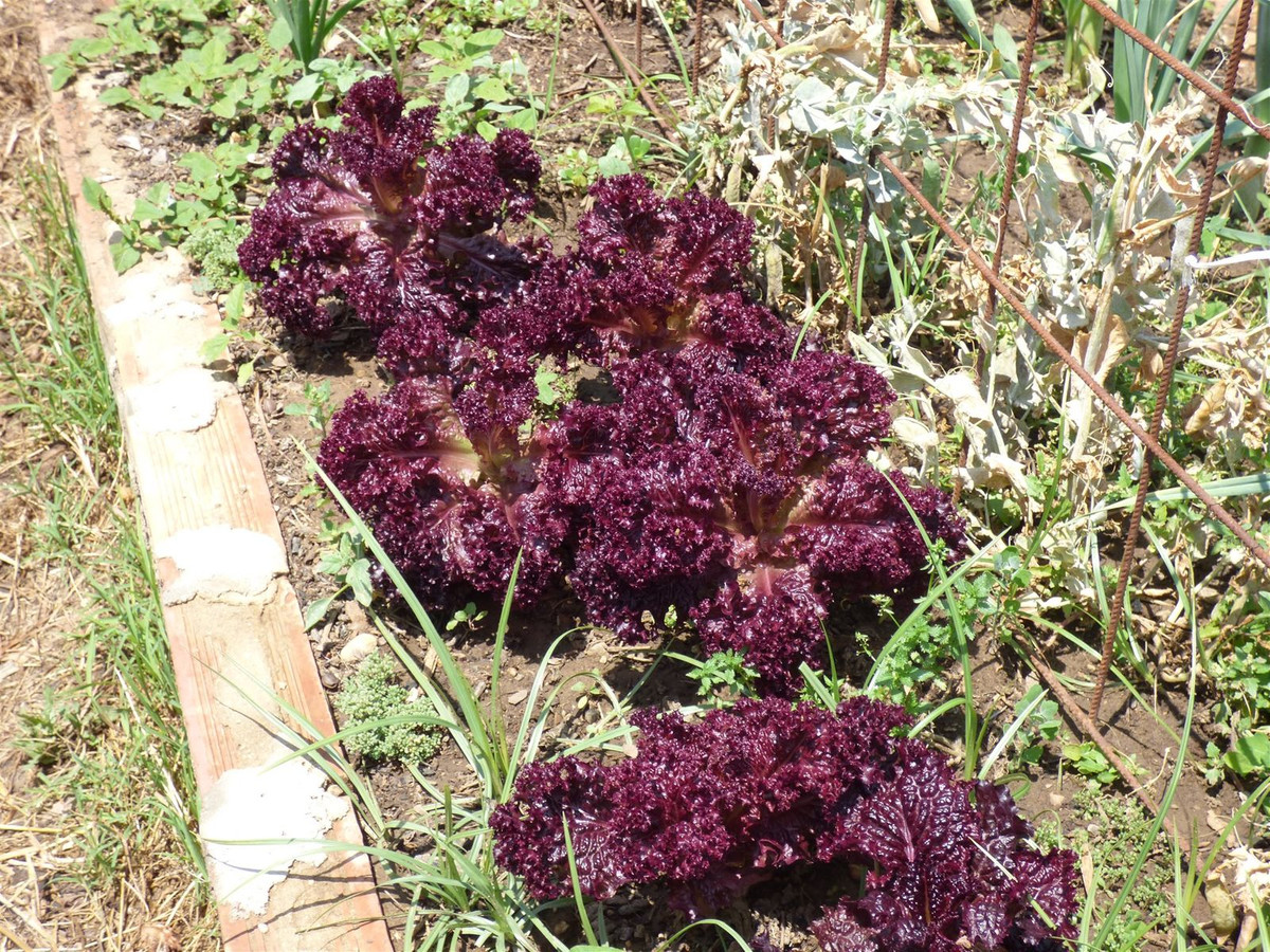 Huis te koop in Mijas Costa | 6 slaapkamers H5306743