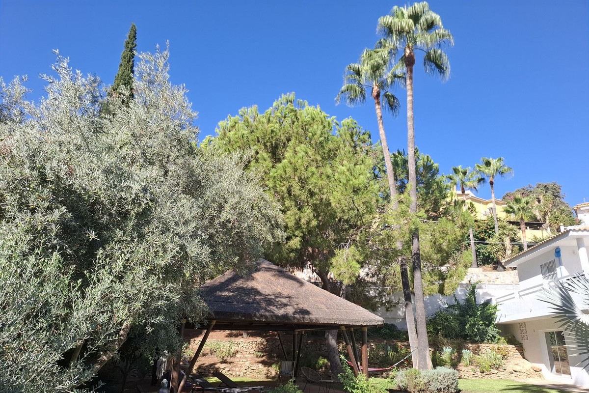 Property main view 26