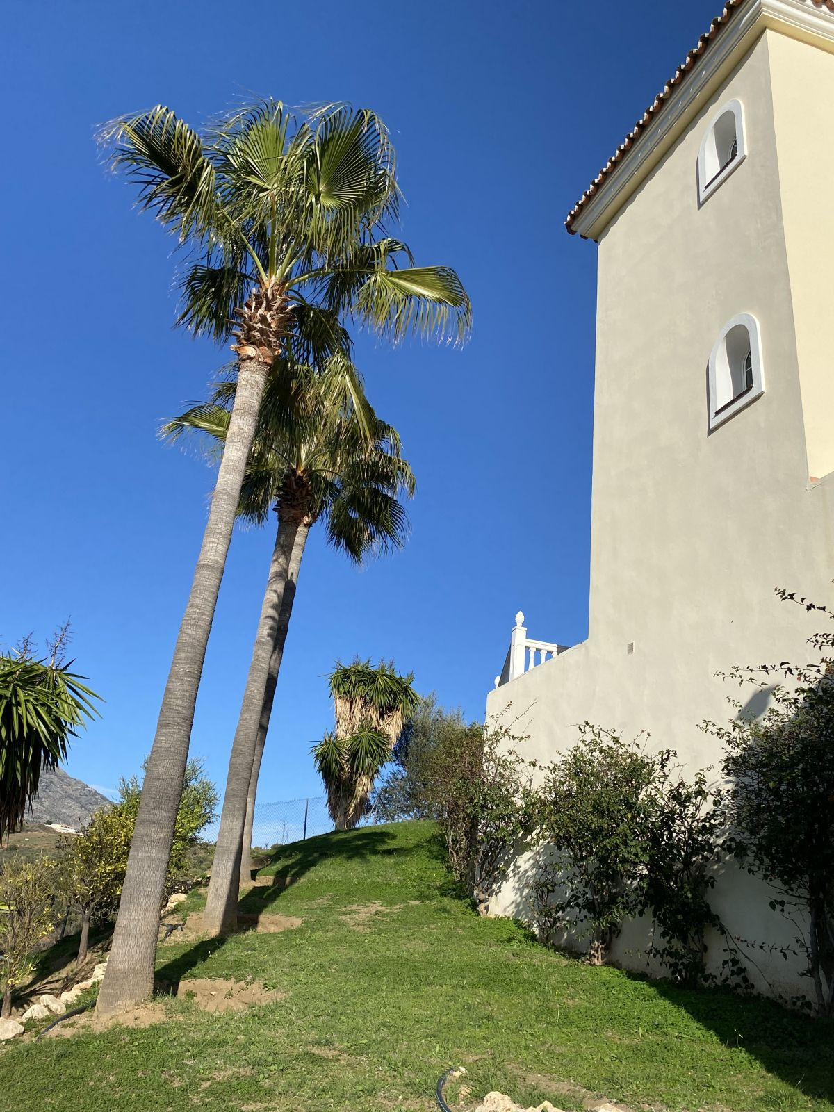 Property main view 56