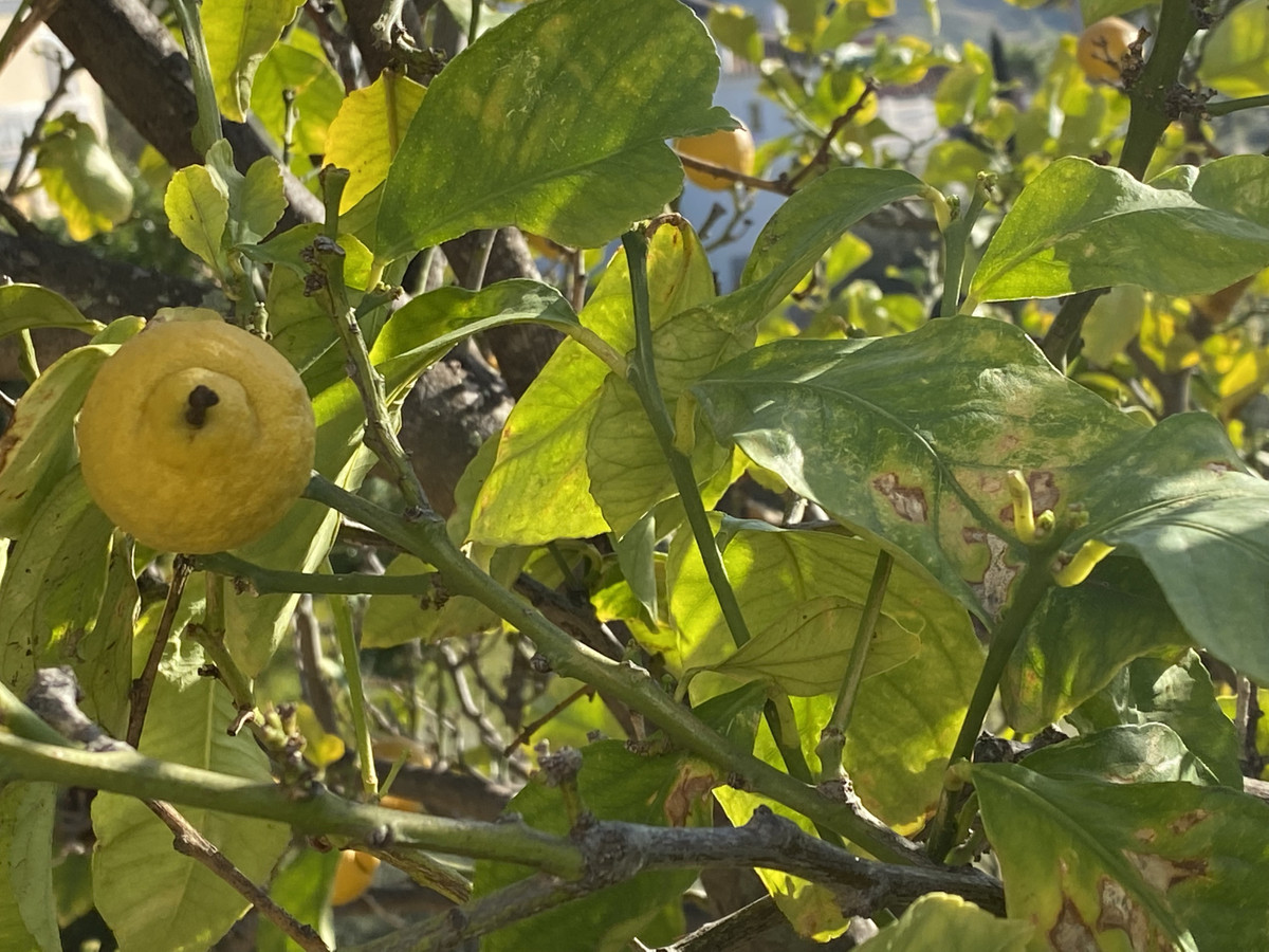 Property main view 57