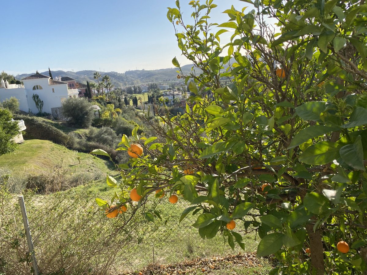 Property main view 58