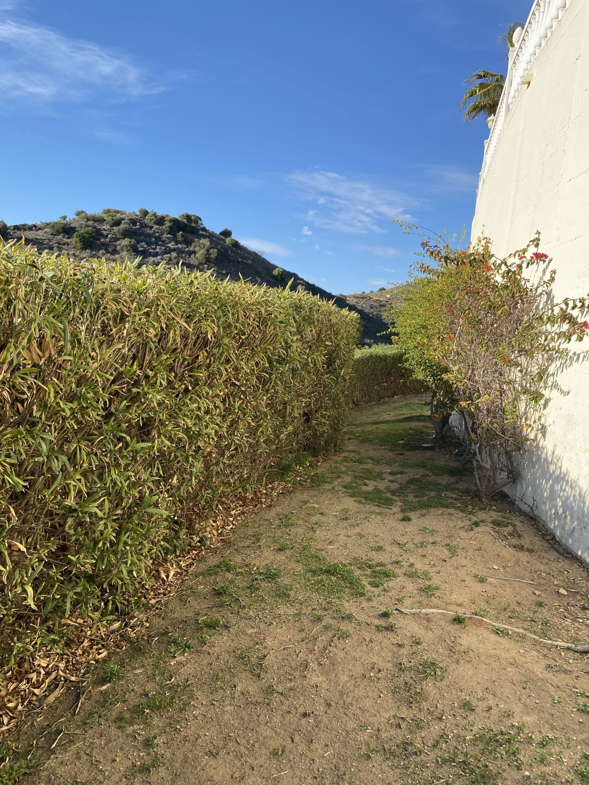 Property main view 62