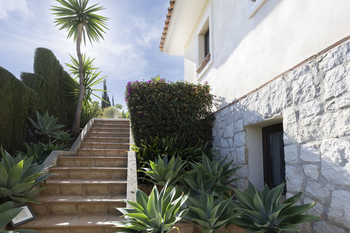 Property main view 66