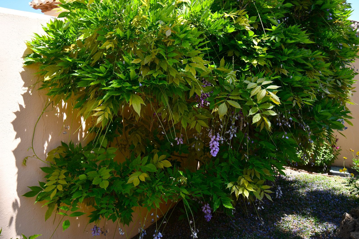 Property main view 95