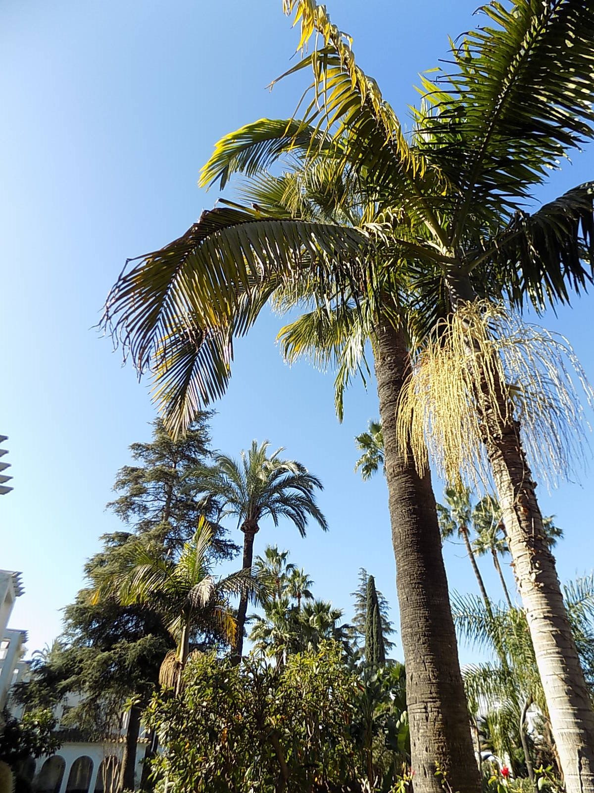 Huis te koop in Mijas Golf | 2 slaapkamers H5157442