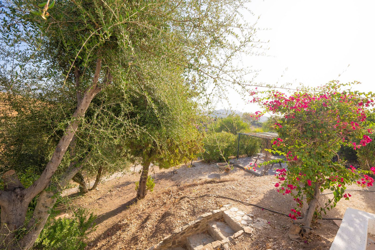 Property main view 55