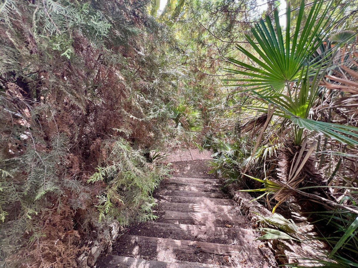 Property main view 37