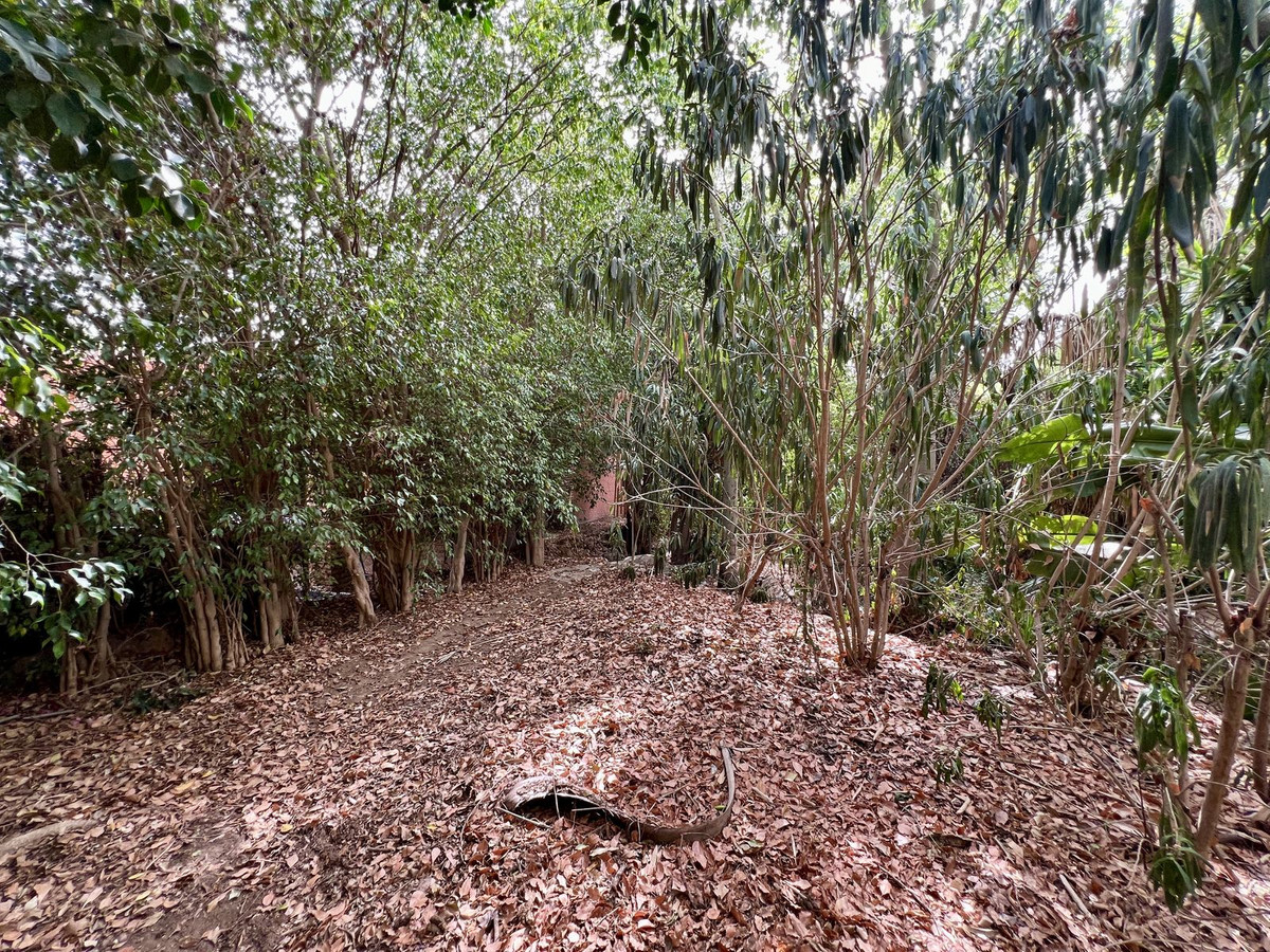 Property main view 38