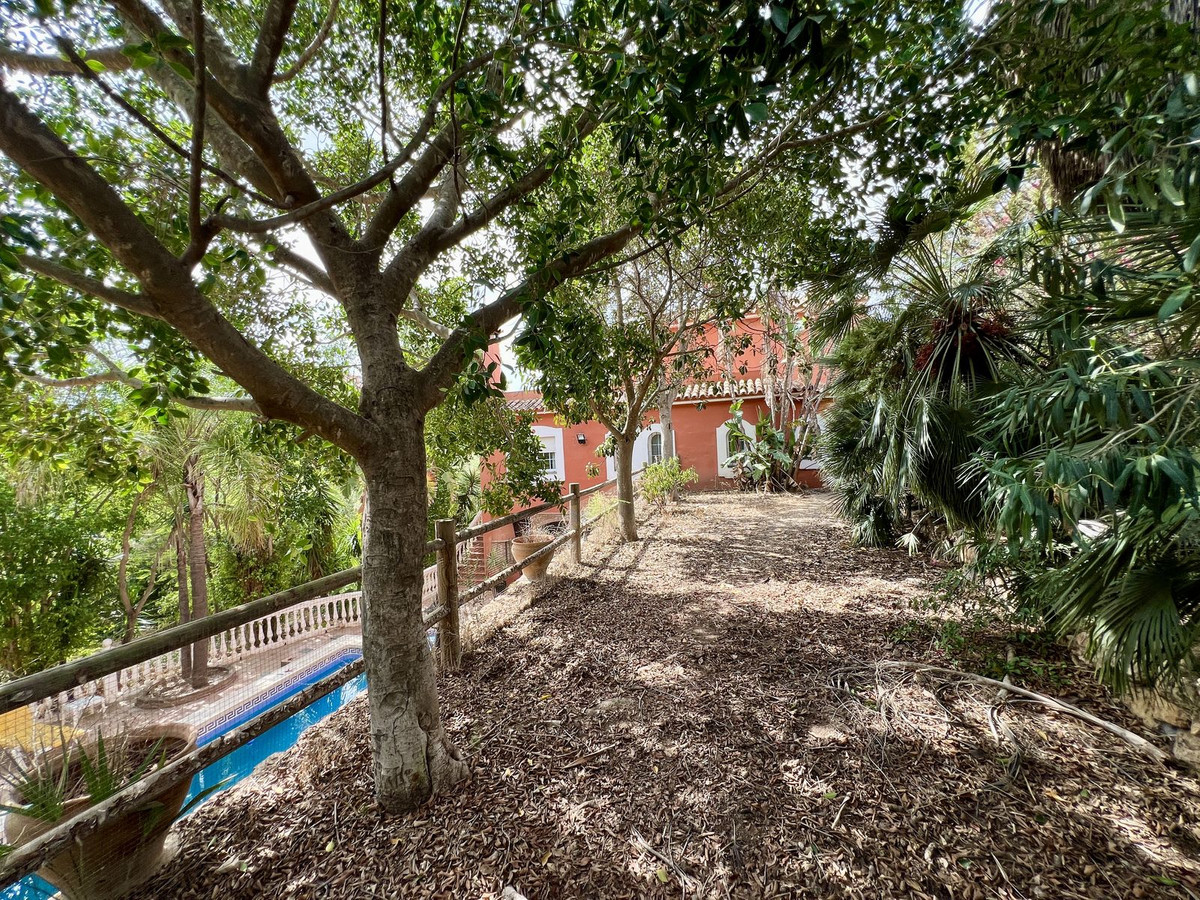 Property main view 42