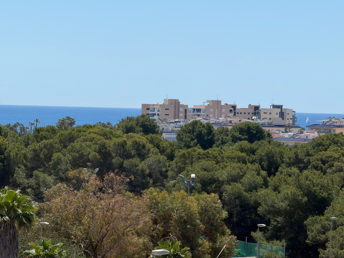 Property main view 30