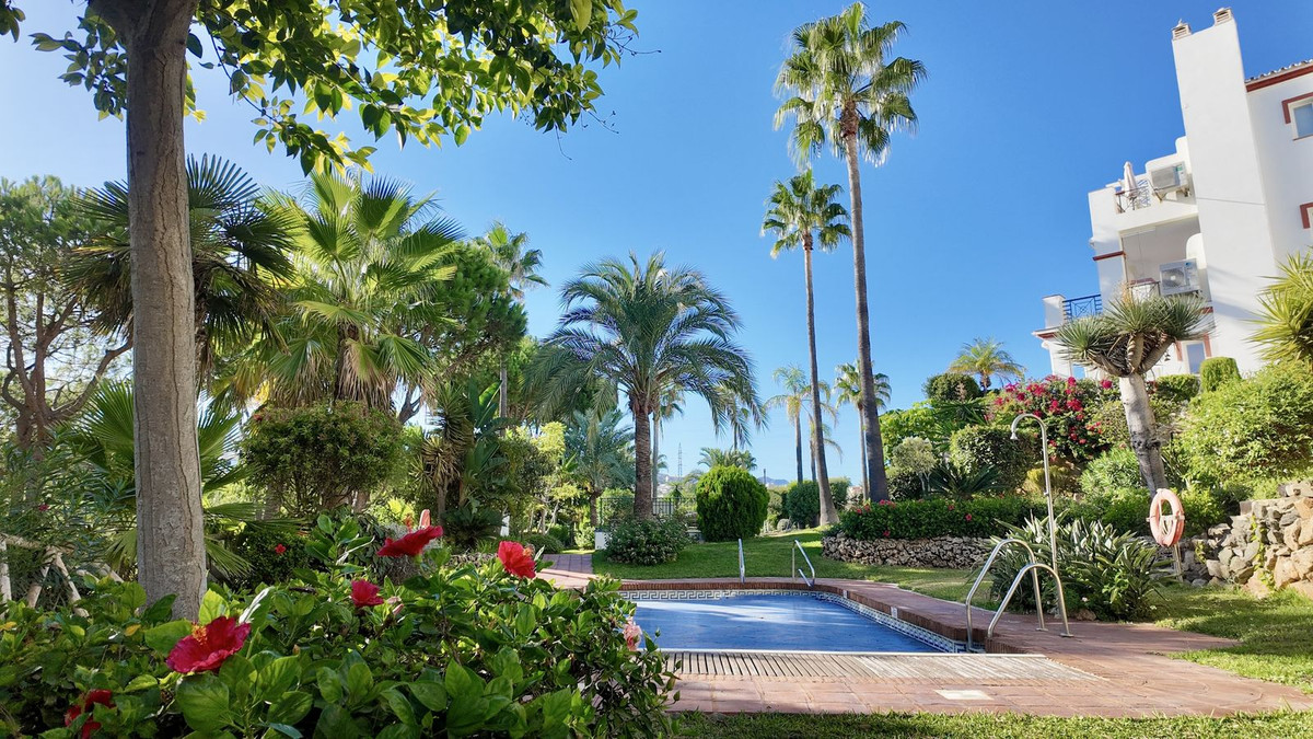 Property main view 13