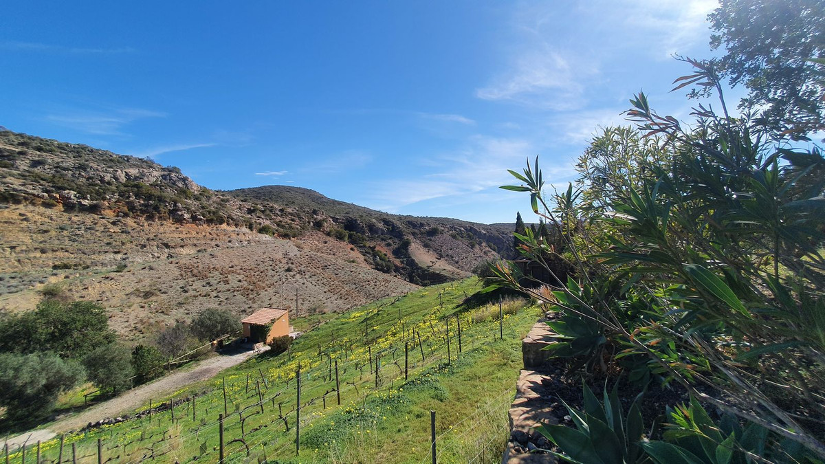 Finca - Cortijo in Málaga-3