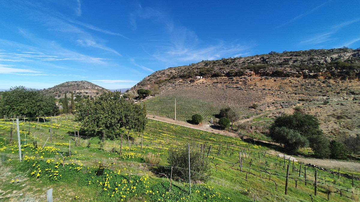 Finca - Cortijo in Málaga-32