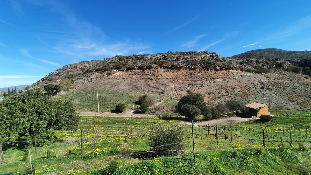 Finca - Cortijo in Málaga-33