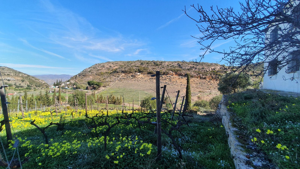 Finca - Cortijo in Málaga-7