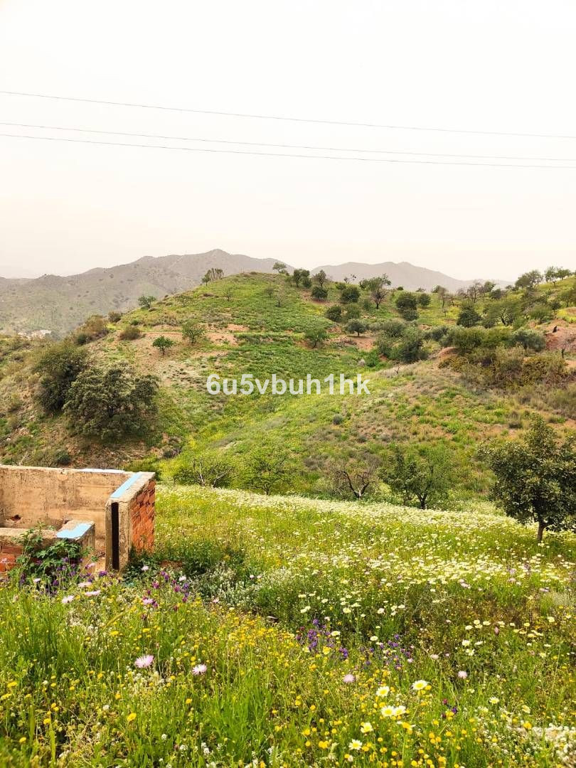 Property main view 34