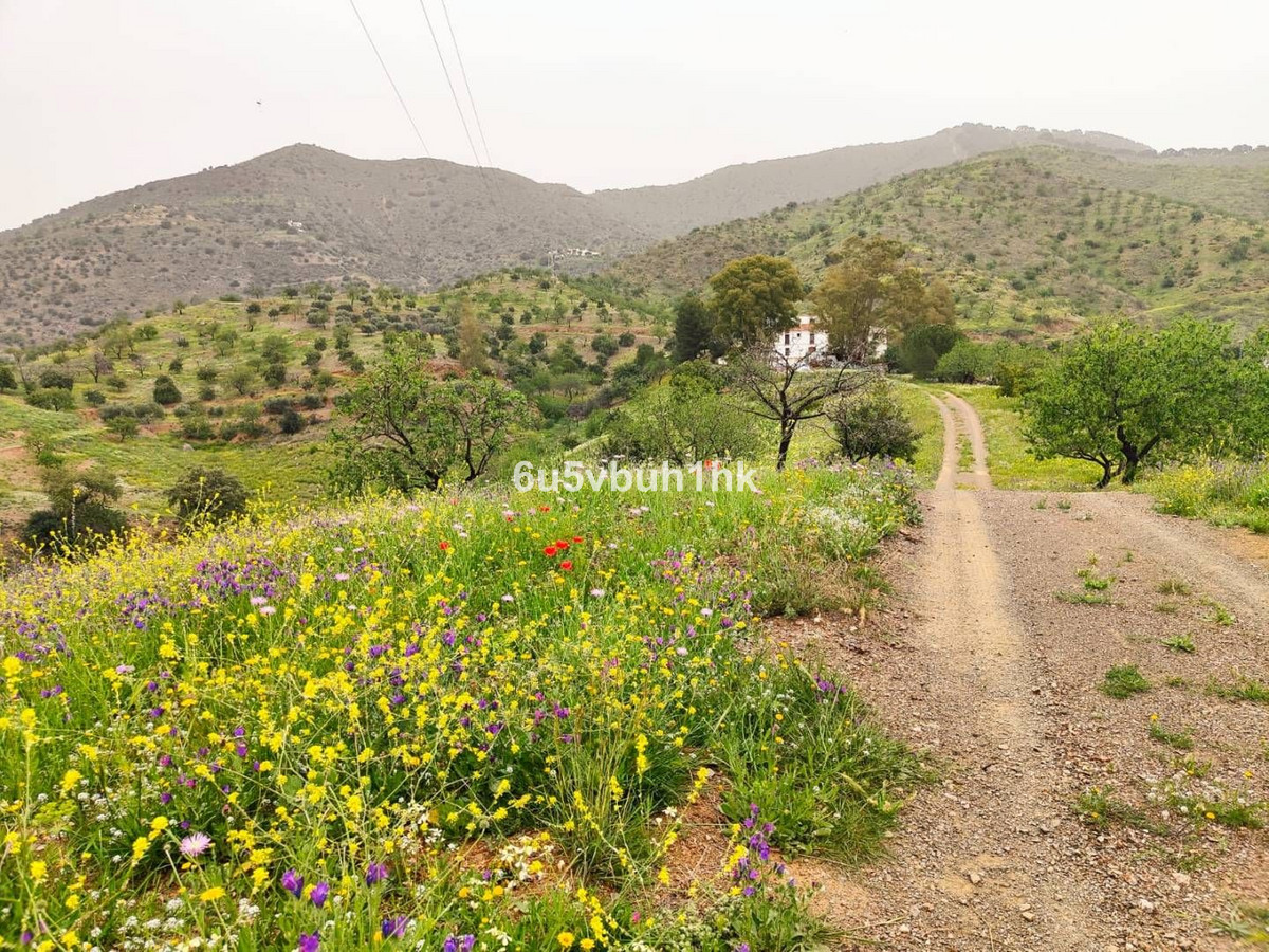 Property main view 37