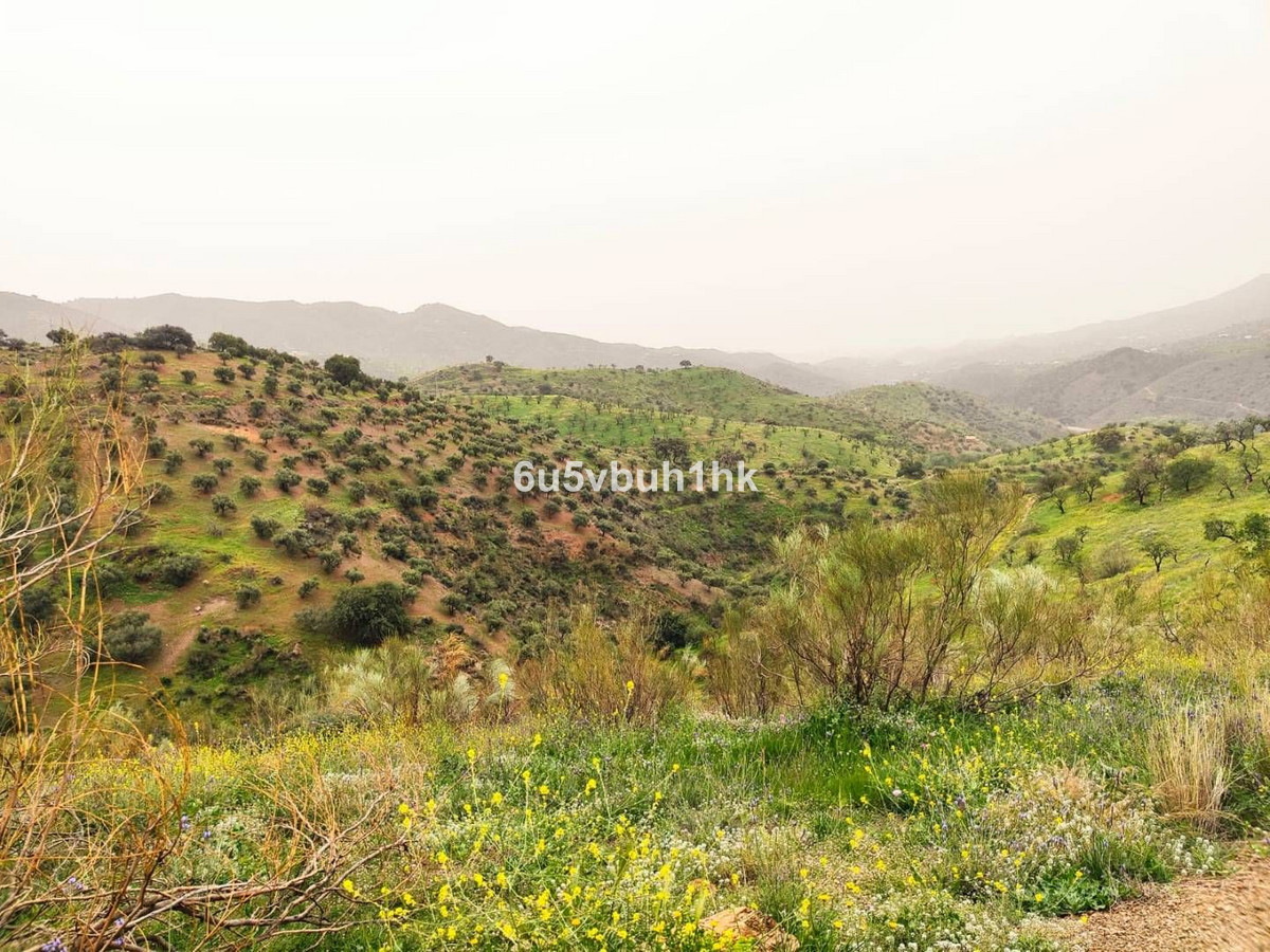 Property main view 5