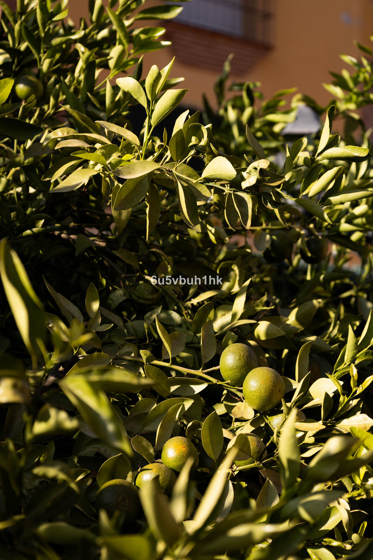 Property main view 48