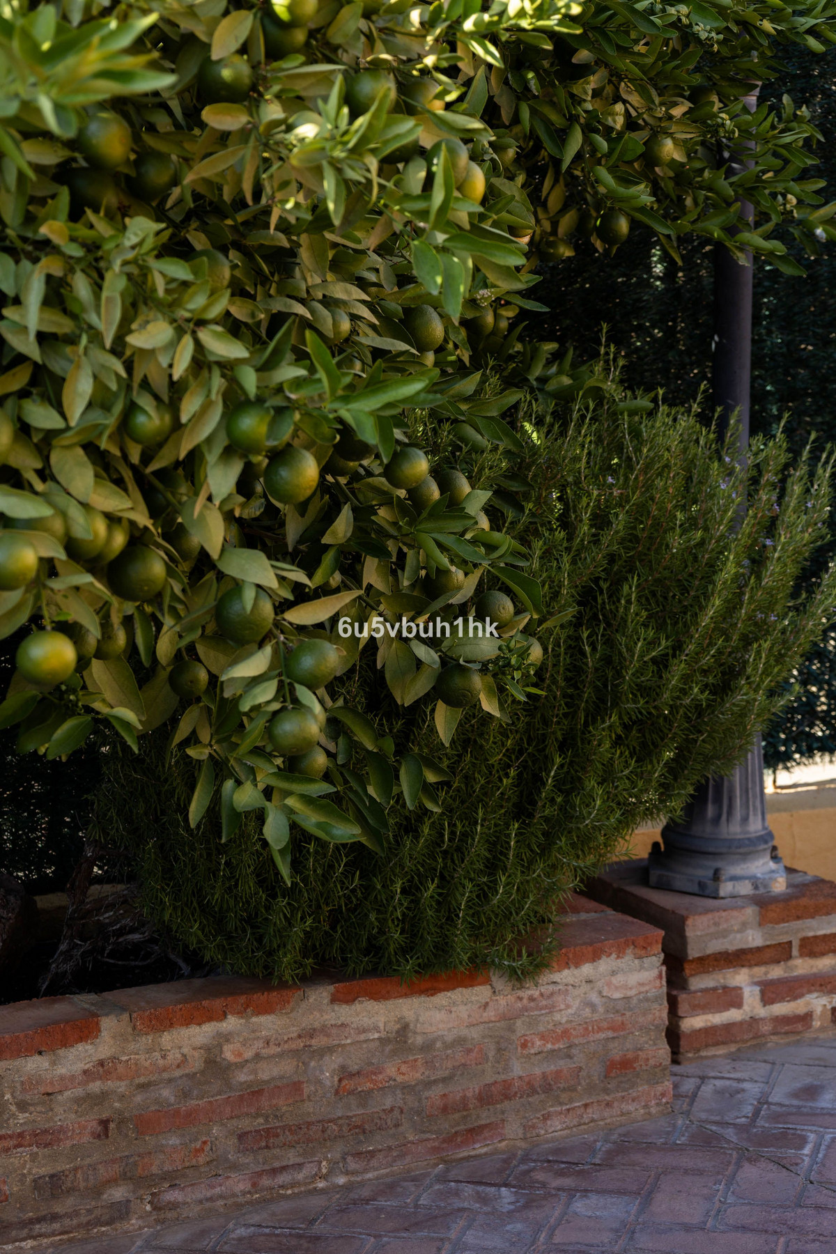 Property main view 49