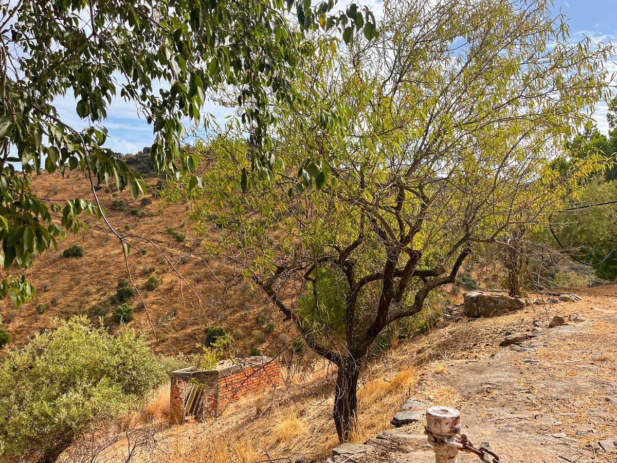 Property main view 28