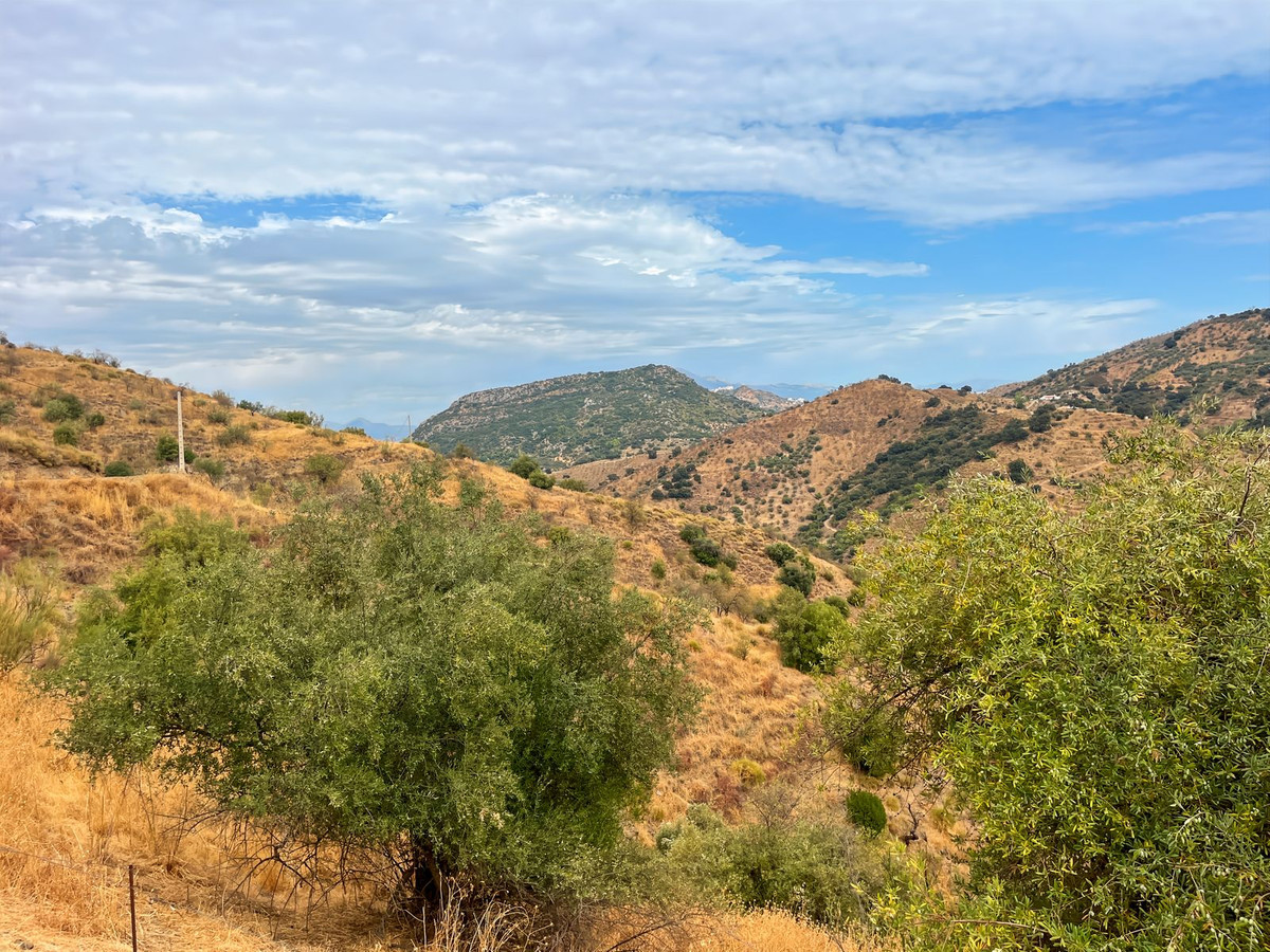 Property main view 31