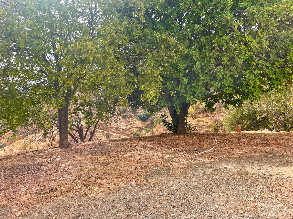 Property main view 32