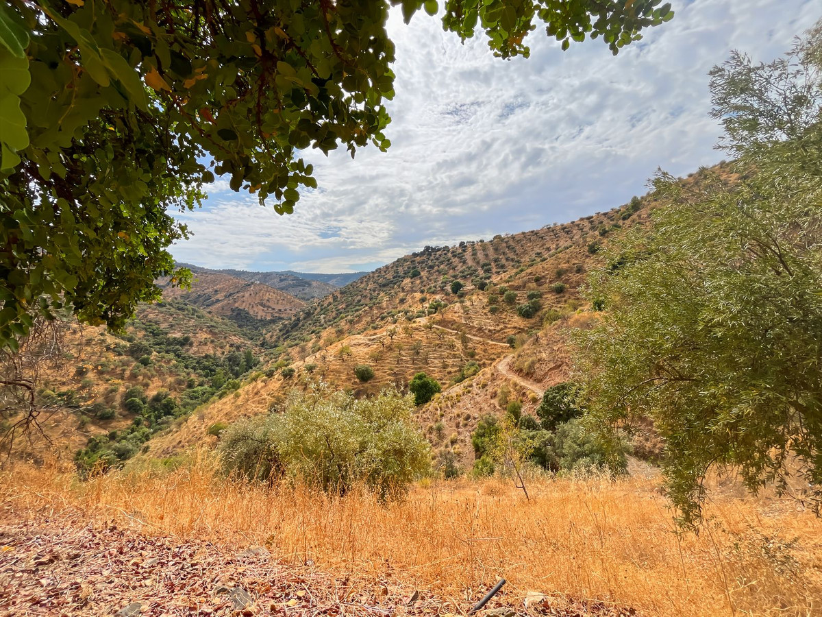 Property main view 34