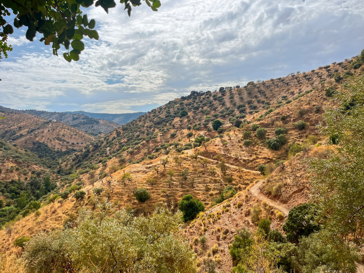 Property main view 35