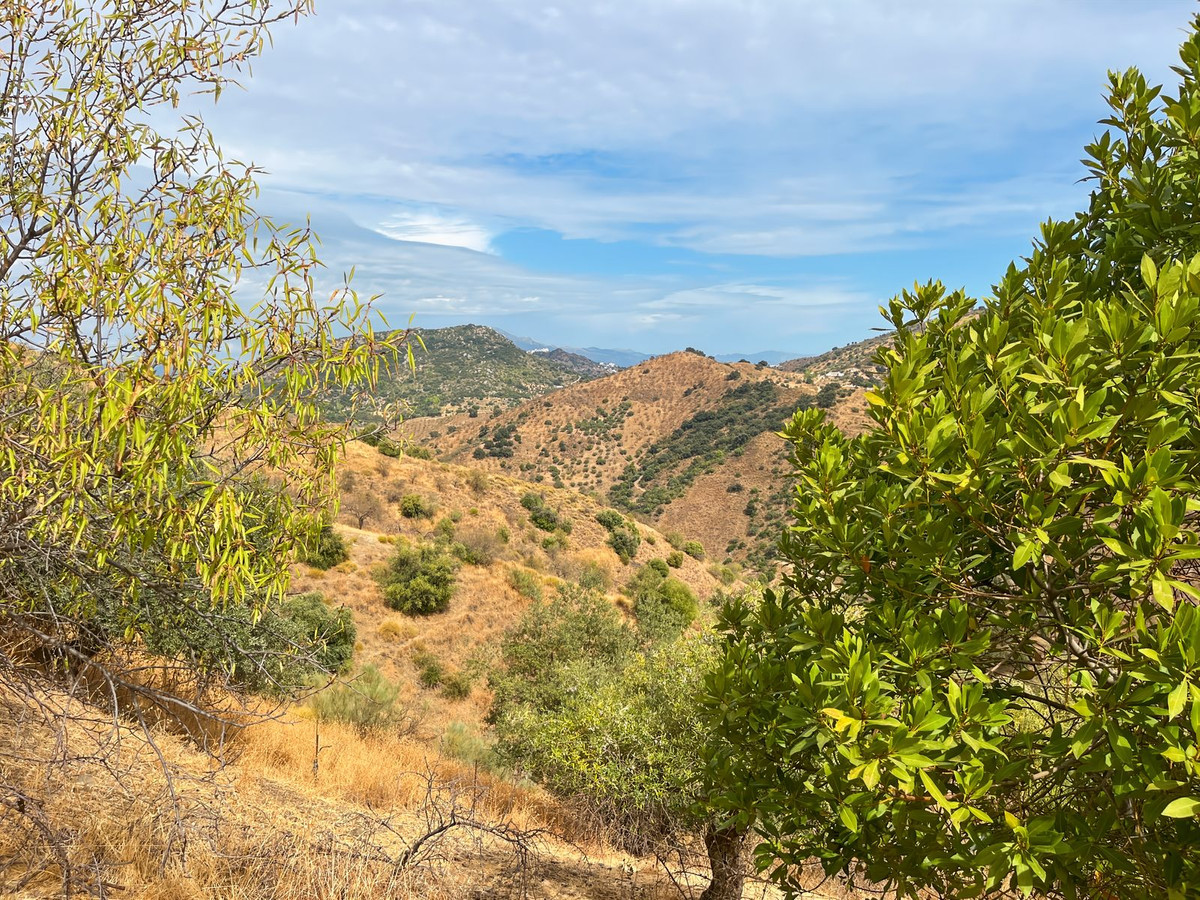 Property main view 37