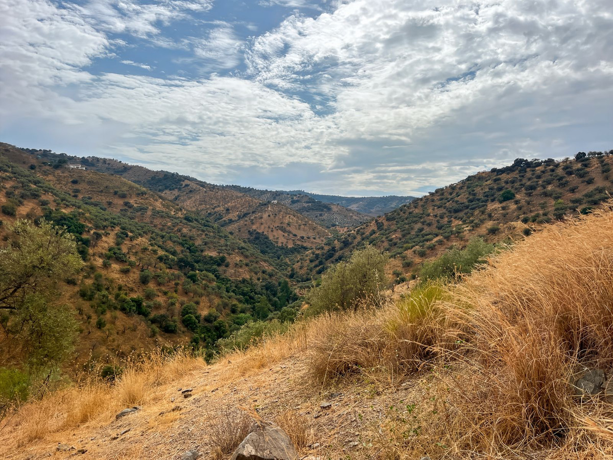 Property main view 50