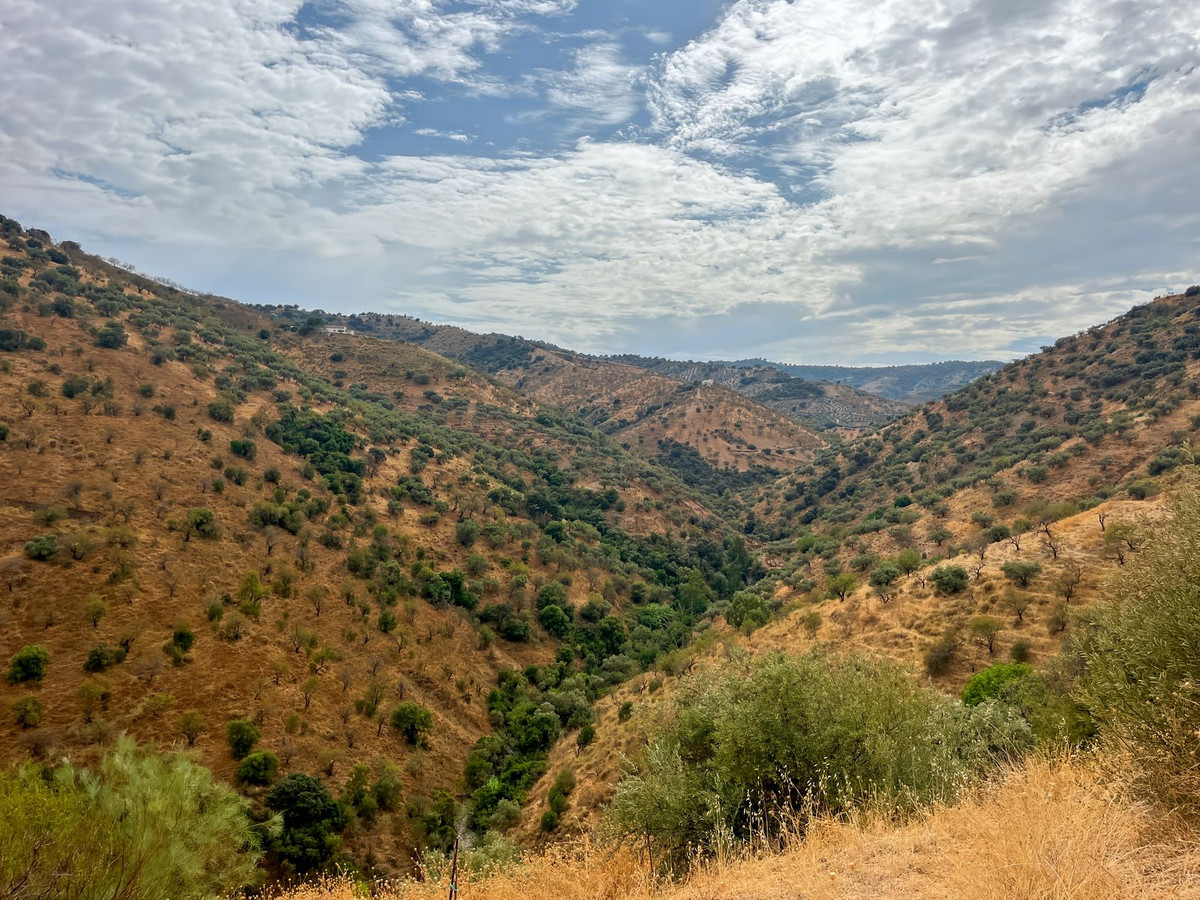 Property main view 60