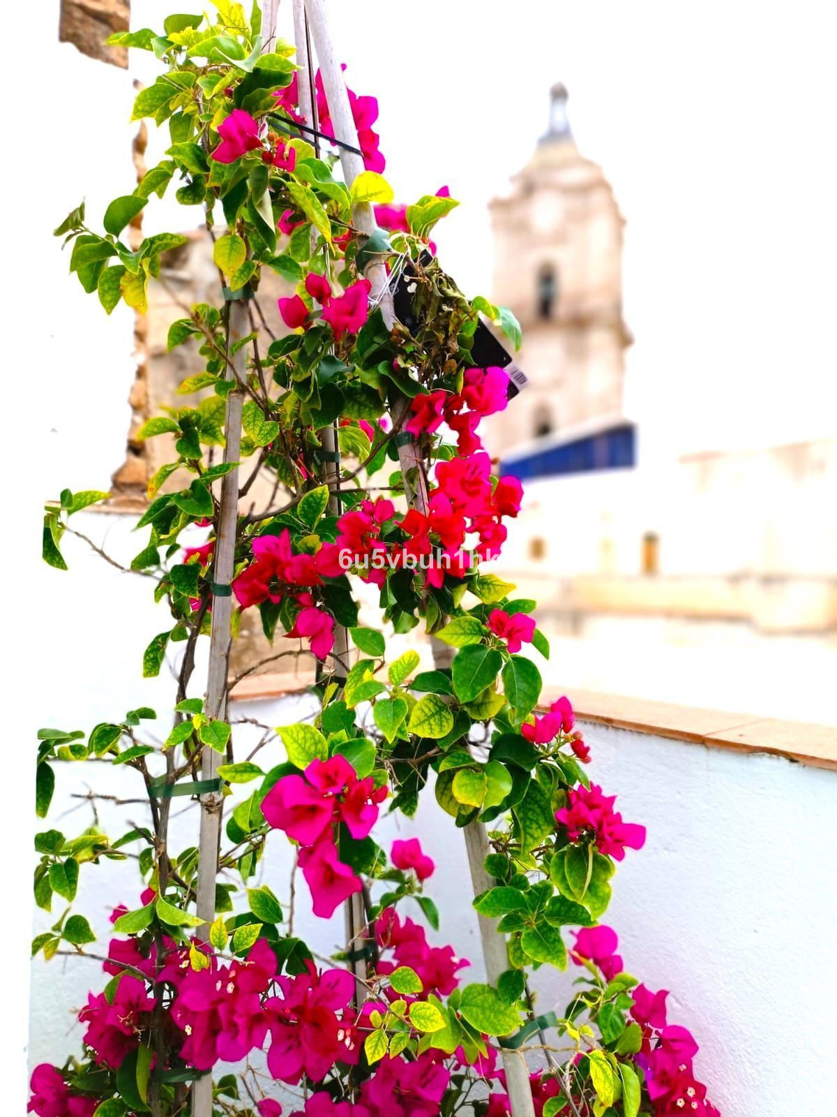 Property main view 28