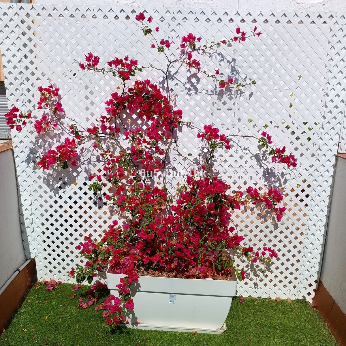 Property main view 9