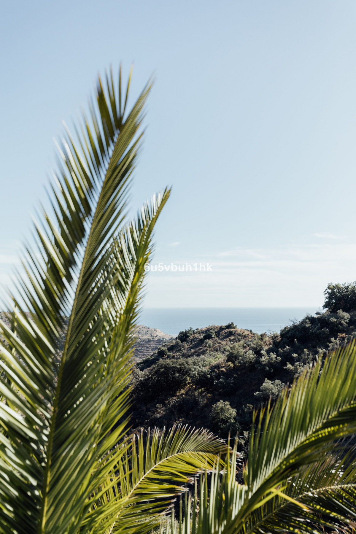 Property main view 28