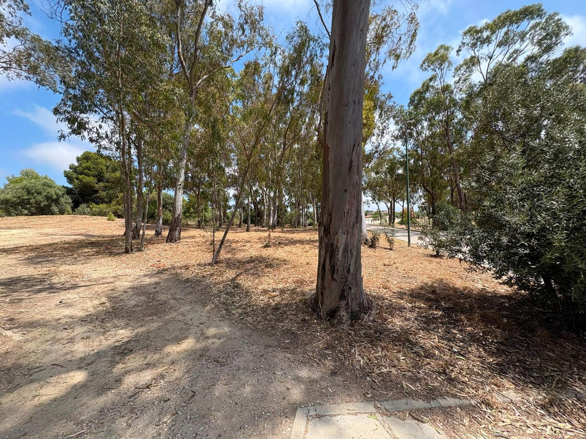 Property main view 50