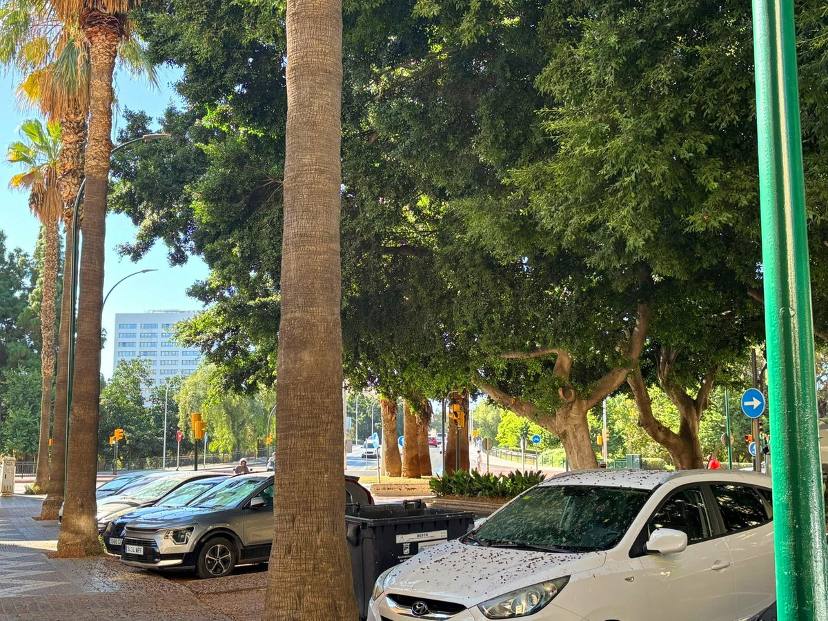 Property main view 2