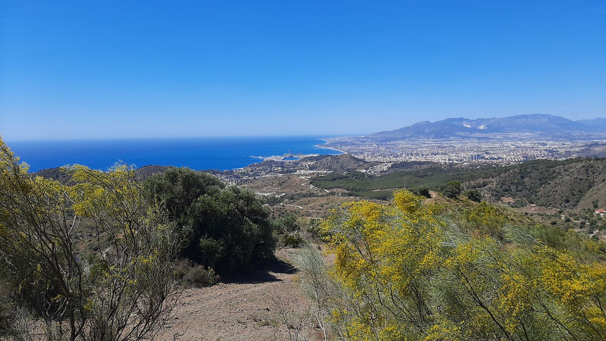 Finca - Cortijo in Málaga Este-1