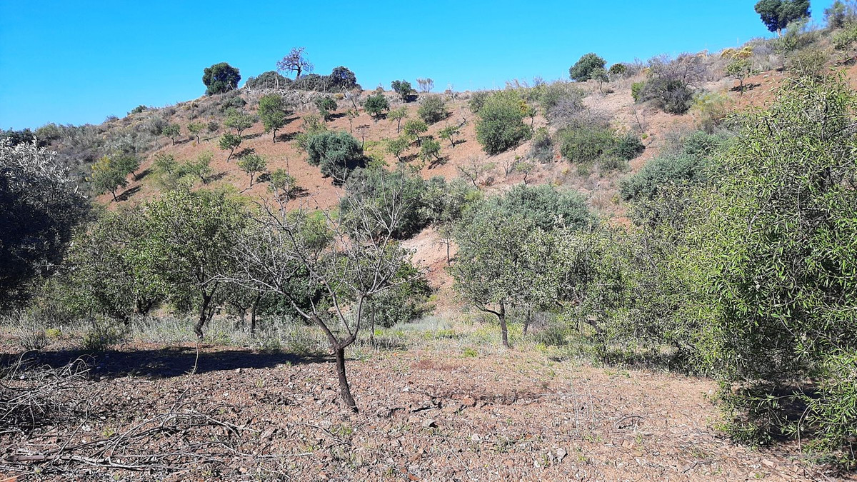 Finca - Cortijo in Málaga Este-11