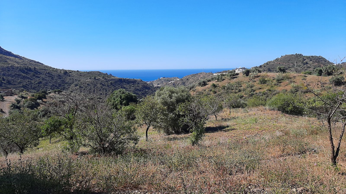 Finca - Cortijo in Málaga Este-12