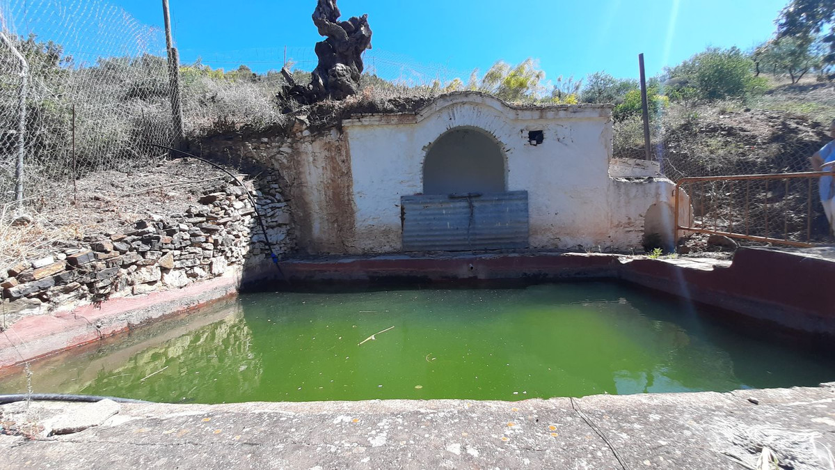 Finca - Cortijo in Málaga Este-15