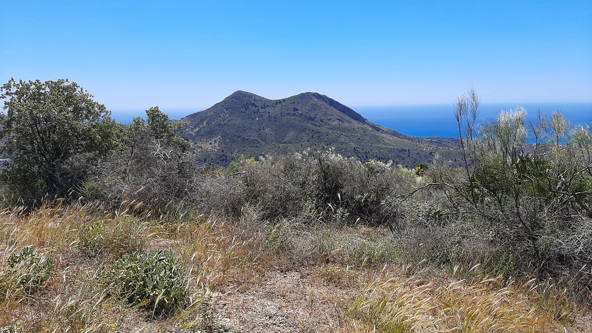 Finca - Cortijo in Málaga Este-17