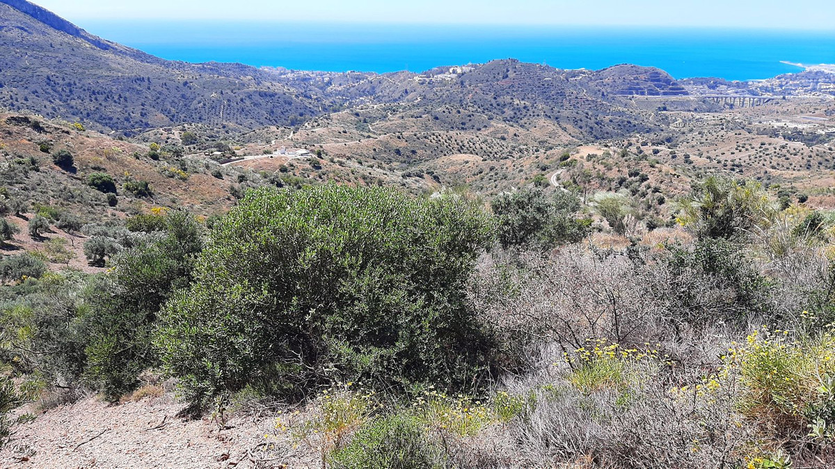 Finca - Cortijo in Málaga Este-19