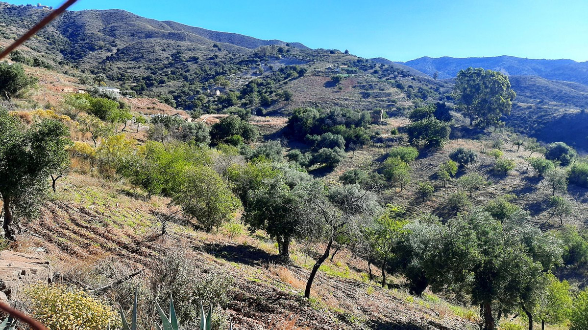 Finca - Cortijo in Málaga Este-2