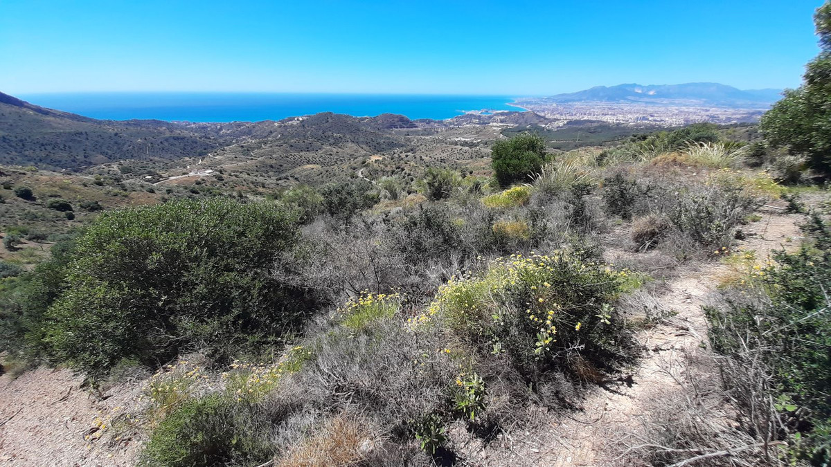 Finca - Cortijo in Málaga Este-22