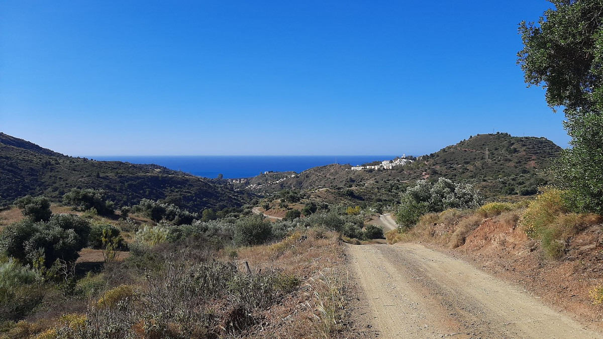 Finca - Cortijo in Málaga Este-4