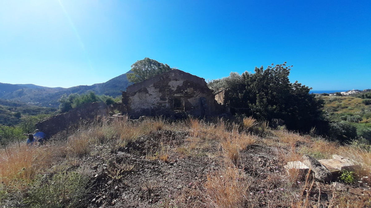 Finca - Cortijo in Málaga Este-5