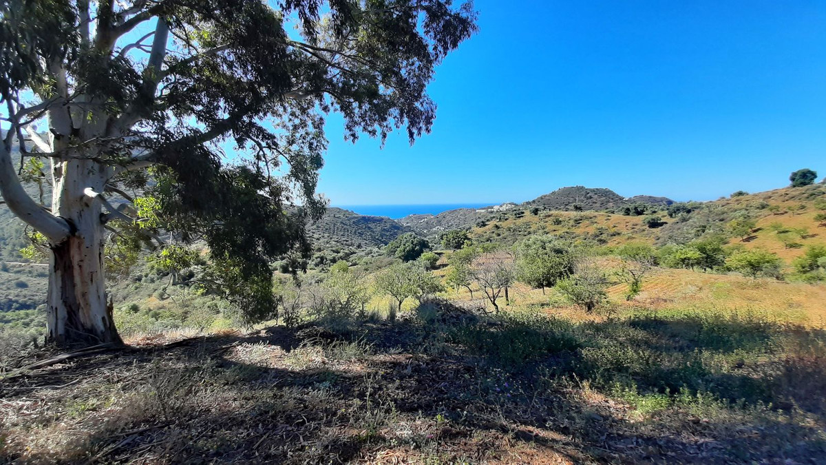 Finca - Cortijo in Málaga Este-7